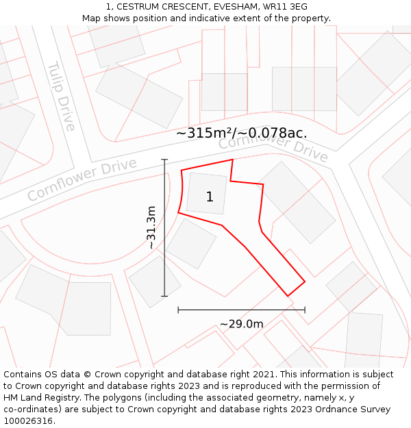 1, CESTRUM CRESCENT, EVESHAM, WR11 3EG: Plot and title map