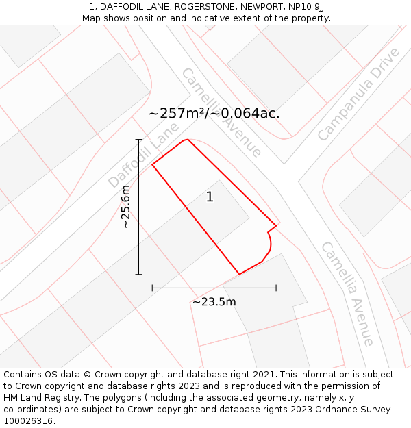 1, DAFFODIL LANE, ROGERSTONE, NEWPORT, NP10 9JJ: Plot and title map