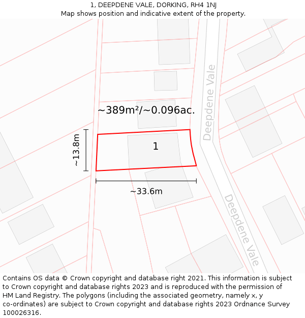 1, DEEPDENE VALE, DORKING, RH4 1NJ: Plot and title map