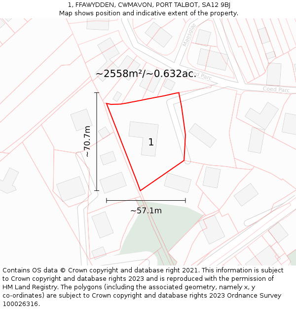 1, FFAWYDDEN, CWMAVON, PORT TALBOT, SA12 9BJ: Plot and title map
