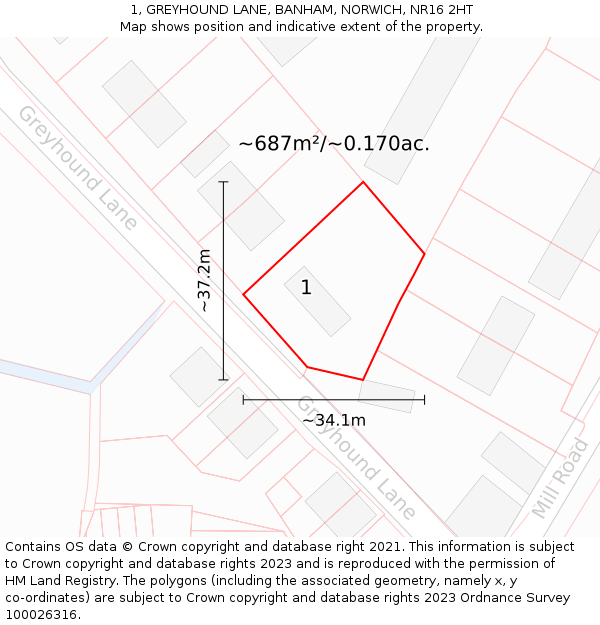 1, GREYHOUND LANE, BANHAM, NORWICH, NR16 2HT: Plot and title map