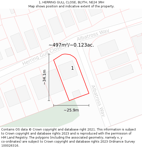 1, HERRING GULL CLOSE, BLYTH, NE24 3RH: Plot and title map