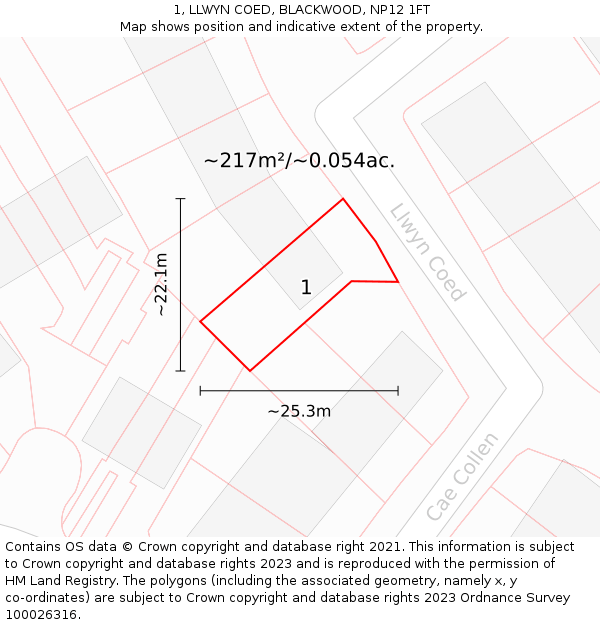 1, LLWYN COED, BLACKWOOD, NP12 1FT: Plot and title map