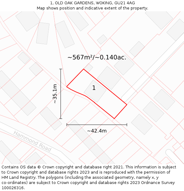 1, OLD OAK GARDENS, WOKING, GU21 4AG: Plot and title map