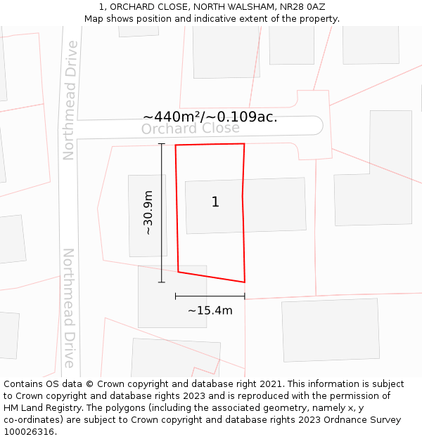 1, ORCHARD CLOSE, NORTH WALSHAM, NR28 0AZ: Plot and title map