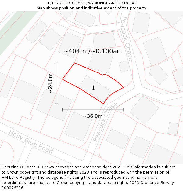 1, PEACOCK CHASE, WYMONDHAM, NR18 0XL: Plot and title map