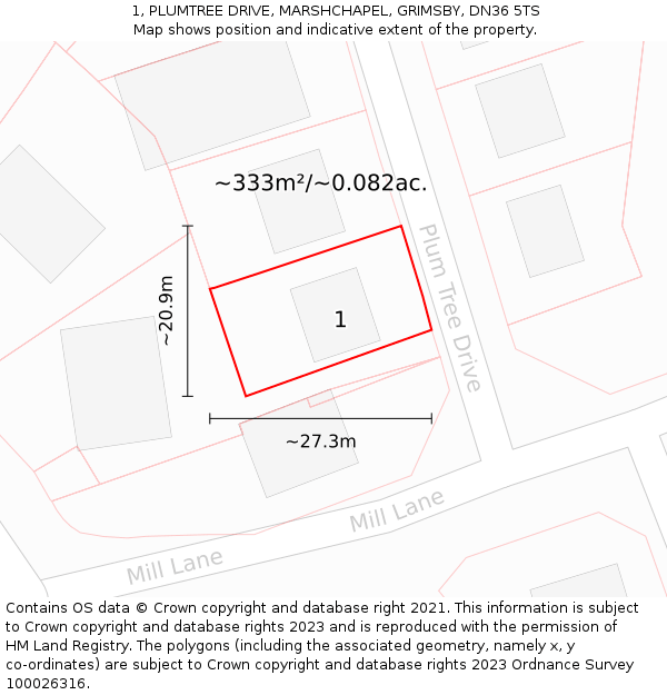 1, PLUMTREE DRIVE, MARSHCHAPEL, GRIMSBY, DN36 5TS: Plot and title map