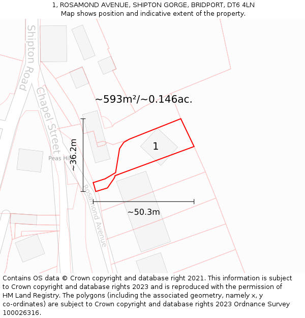 1, ROSAMOND AVENUE, SHIPTON GORGE, BRIDPORT, DT6 4LN: Plot and title map