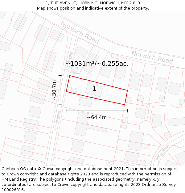 1, THE AVENUE, HORNING, NORWICH, NR12 8LR: Plot and title map