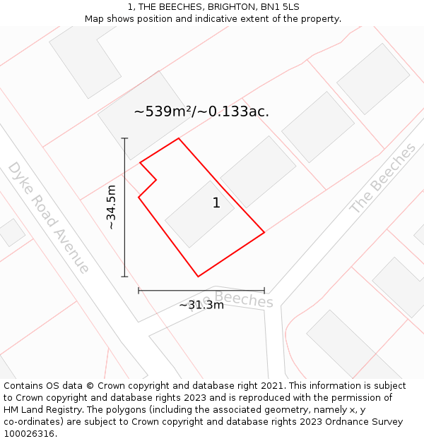1, THE BEECHES, BRIGHTON, BN1 5LS: Plot and title map