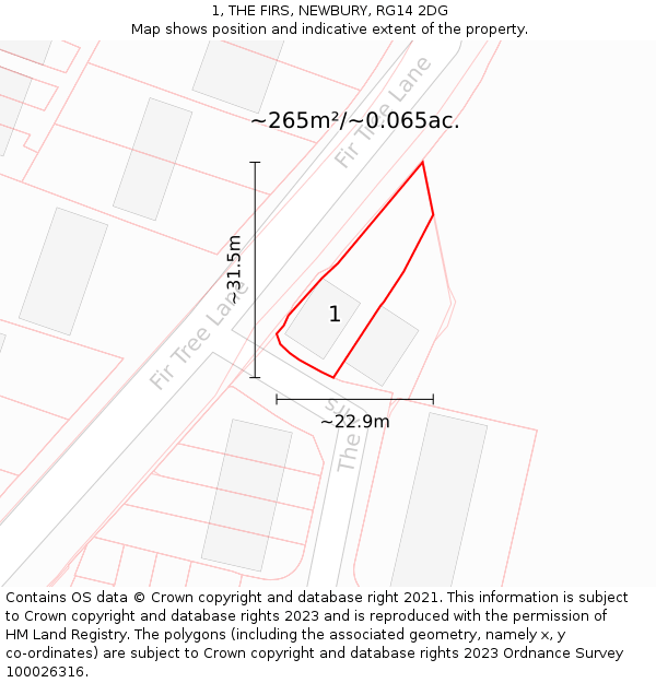 1, THE FIRS, NEWBURY, RG14 2DG: Plot and title map