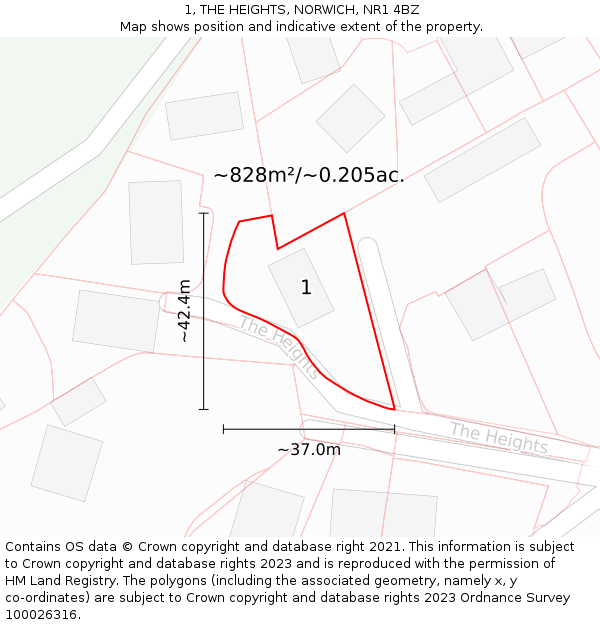 1, THE HEIGHTS, NORWICH, NR1 4BZ: Plot and title map