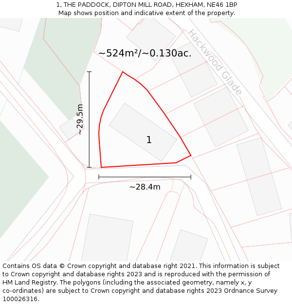 1, THE PADDOCK, DIPTON MILL ROAD, HEXHAM, NE46 1BP: Plot and title map