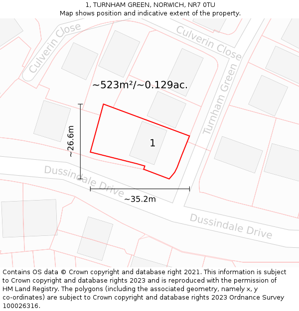 1, TURNHAM GREEN, NORWICH, NR7 0TU: Plot and title map
