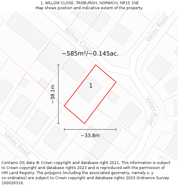1, WILLOW CLOSE, TASBURGH, NORWICH, NR15 1NE: Plot and title map