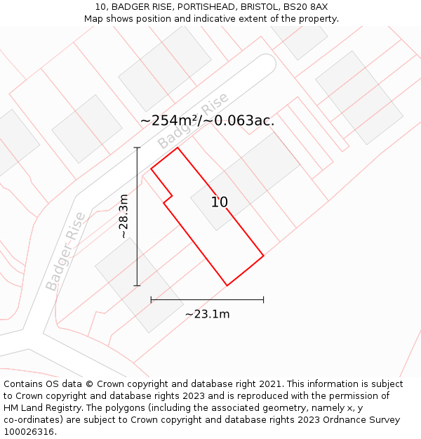 10, BADGER RISE, PORTISHEAD, BRISTOL, BS20 8AX: Plot and title map