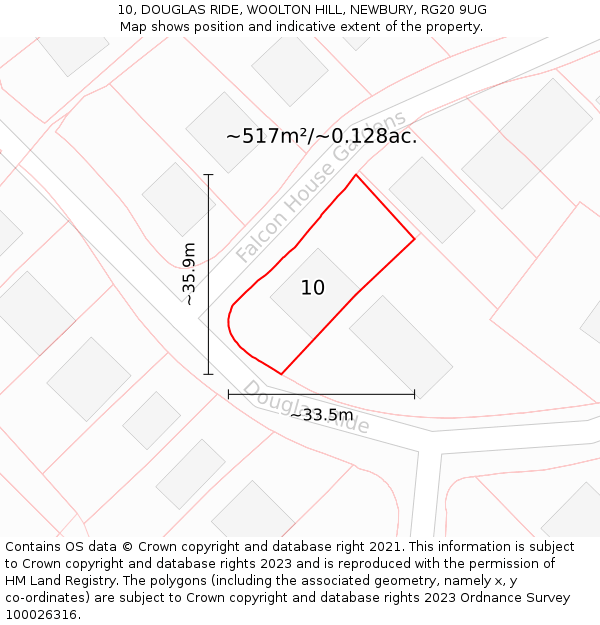 10, DOUGLAS RIDE, WOOLTON HILL, NEWBURY, RG20 9UG: Plot and title map