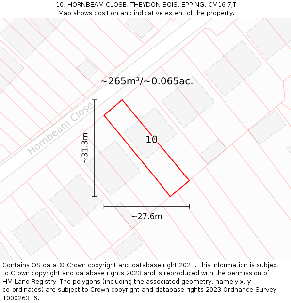 10, HORNBEAM CLOSE, THEYDON BOIS, EPPING, CM16 7JT: Plot and title map
