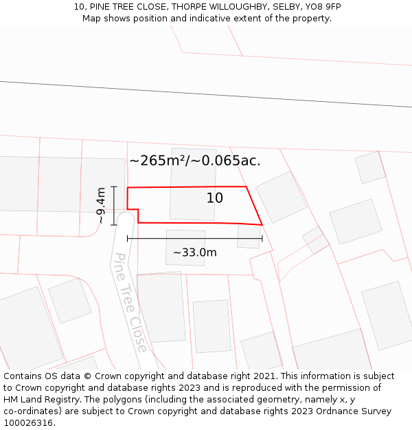 10, PINE TREE CLOSE, THORPE WILLOUGHBY, SELBY, YO8 9FP: Plot and title map