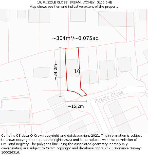 10, PUZZLE CLOSE, BREAM, LYDNEY, GL15 6HE: Plot and title map