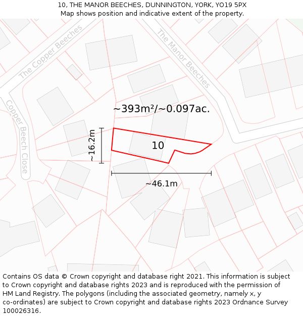 10, THE MANOR BEECHES, DUNNINGTON, YORK, YO19 5PX: Plot and title map