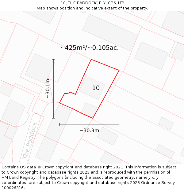 10, THE PADDOCK, ELY, CB6 1TP: Plot and title map