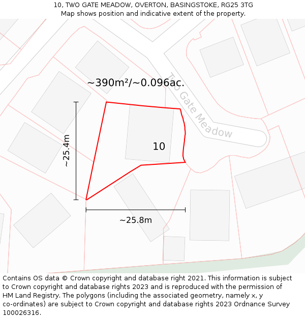 10, TWO GATE MEADOW, OVERTON, BASINGSTOKE, RG25 3TG: Plot and title map