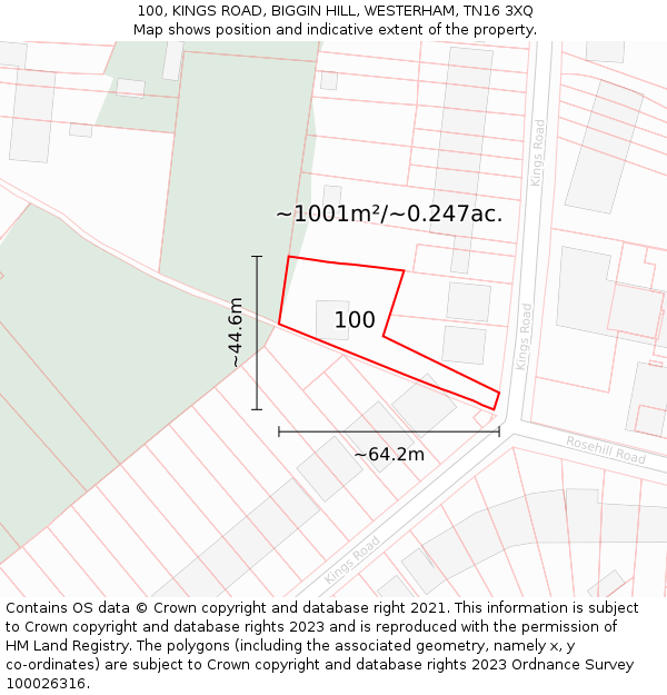 100, KINGS ROAD, BIGGIN HILL, WESTERHAM, TN16 3XQ: Plot and title map