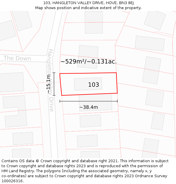 103, HANGLETON VALLEY DRIVE, HOVE, BN3 8EJ: Plot and title map