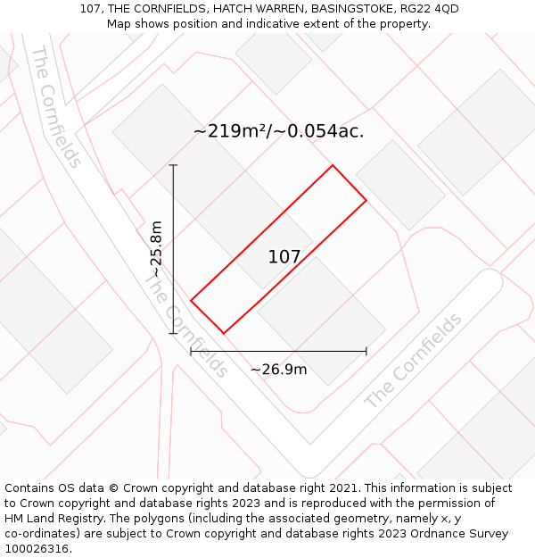 107, THE CORNFIELDS, HATCH WARREN, BASINGSTOKE, RG22 4QD: Plot and title map