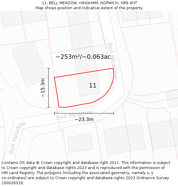 11, BELL MEADOW, HINGHAM, NORWICH, NR9 4HT: Plot and title map