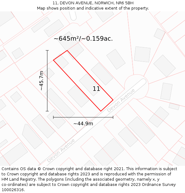 11, DEVON AVENUE, NORWICH, NR6 5BH: Plot and title map