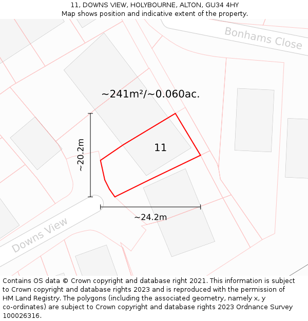 11, DOWNS VIEW, HOLYBOURNE, ALTON, GU34 4HY: Plot and title map