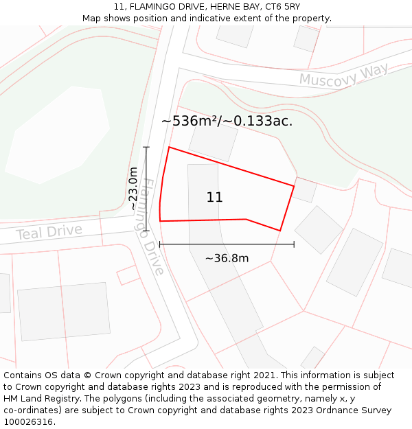 11, FLAMINGO DRIVE, HERNE BAY, CT6 5RY: Plot and title map