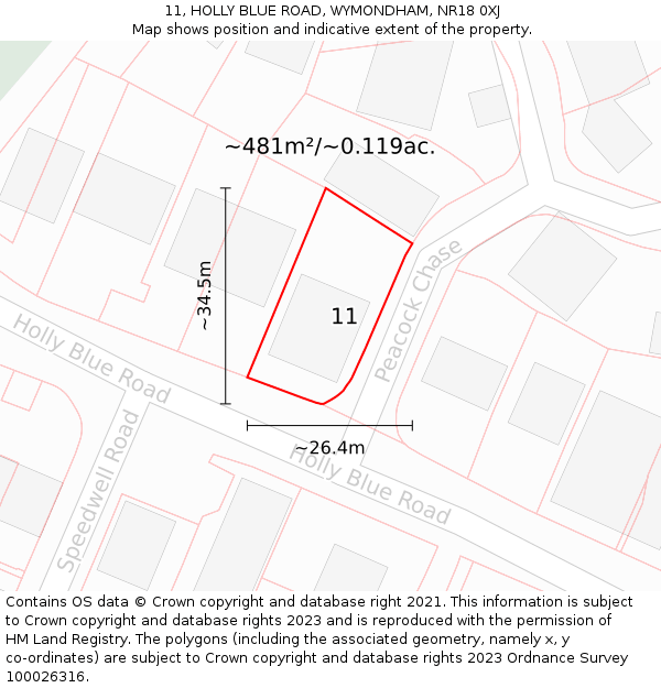 11, HOLLY BLUE ROAD, WYMONDHAM, NR18 0XJ: Plot and title map