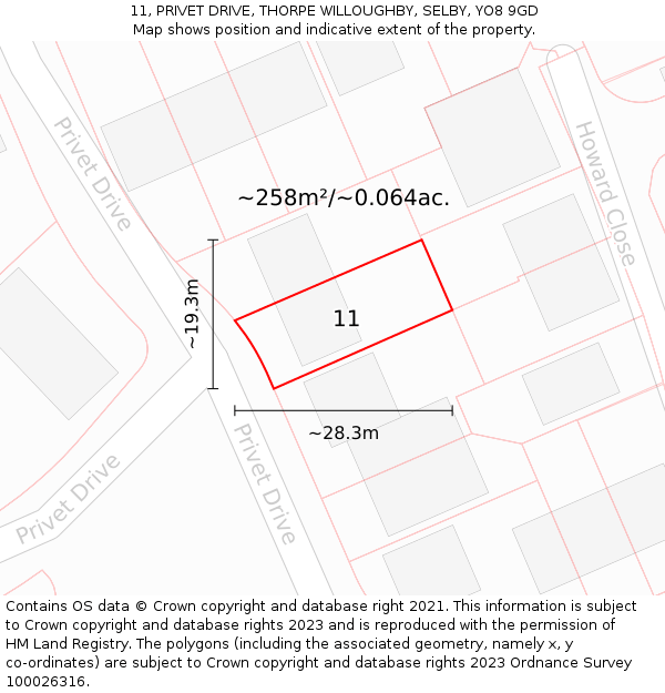 11, PRIVET DRIVE, THORPE WILLOUGHBY, SELBY, YO8 9GD: Plot and title map