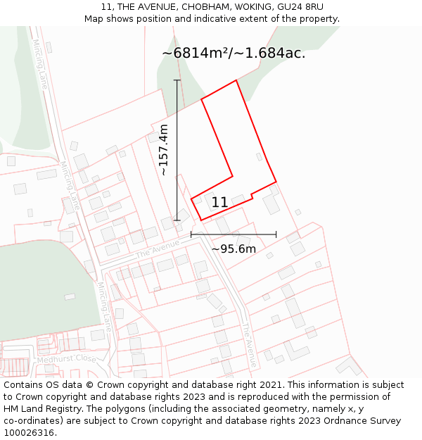11, THE AVENUE, CHOBHAM, WOKING, GU24 8RU: Plot and title map