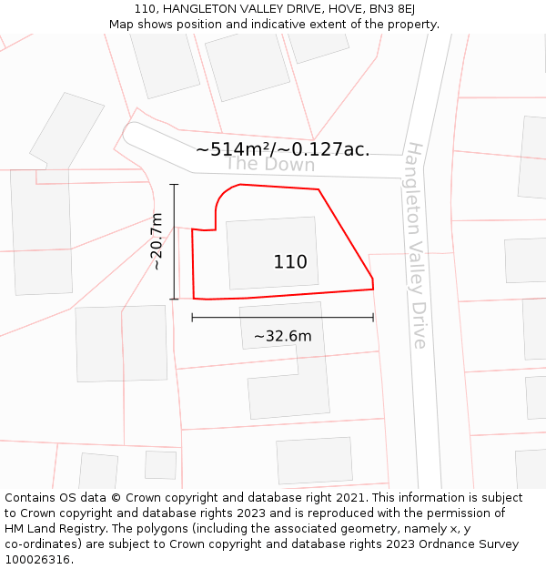 110, HANGLETON VALLEY DRIVE, HOVE, BN3 8EJ: Plot and title map