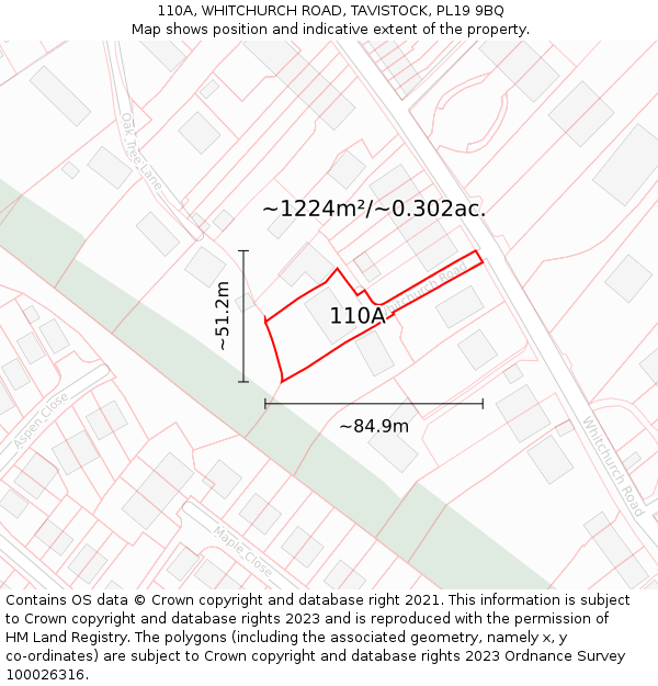 110A, WHITCHURCH ROAD, TAVISTOCK, PL19 9BQ: Plot and title map