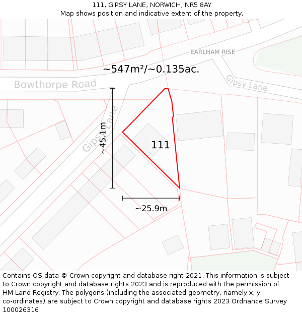 111, GIPSY LANE, NORWICH, NR5 8AY: Plot and title map