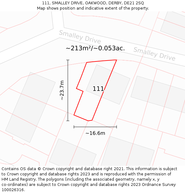 111, SMALLEY DRIVE, OAKWOOD, DERBY, DE21 2SQ: Plot and title map