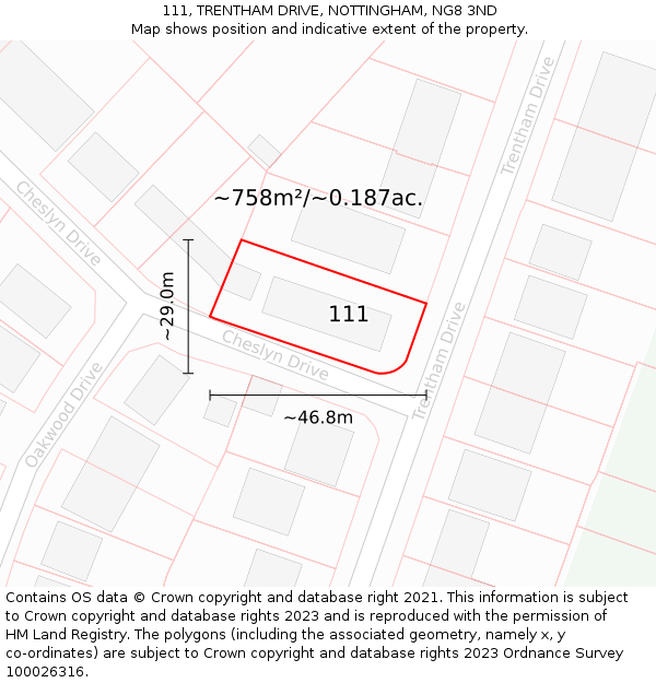 111, TRENTHAM DRIVE, NOTTINGHAM, NG8 3ND: Plot and title map