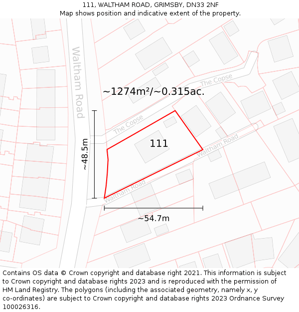 111, WALTHAM ROAD, GRIMSBY, DN33 2NF: Plot and title map