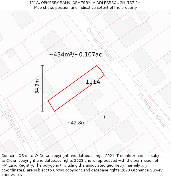 111A, ORMESBY BANK, ORMESBY, MIDDLESBROUGH, TS7 9HL: Plot and title map