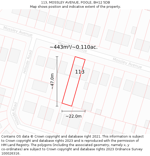 113, MOSSLEY AVENUE, POOLE, BH12 5DB: Plot and title map