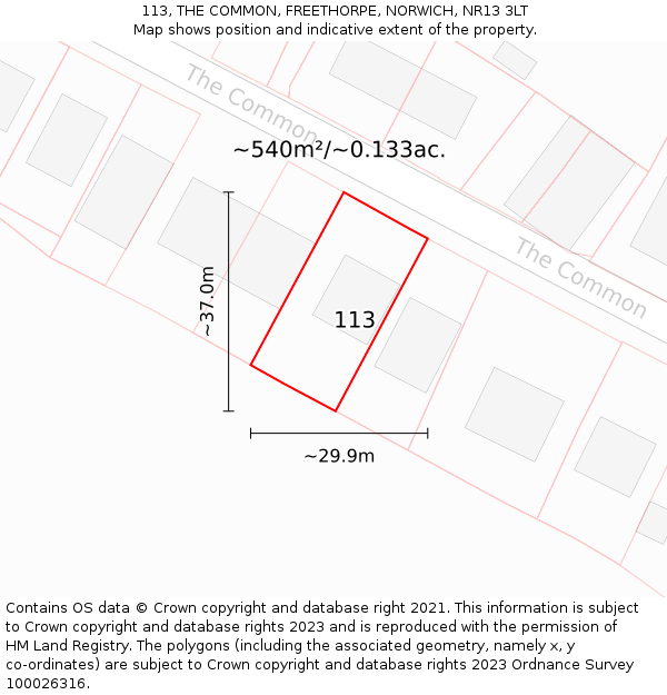 113, THE COMMON, FREETHORPE, NORWICH, NR13 3LT: Plot and title map