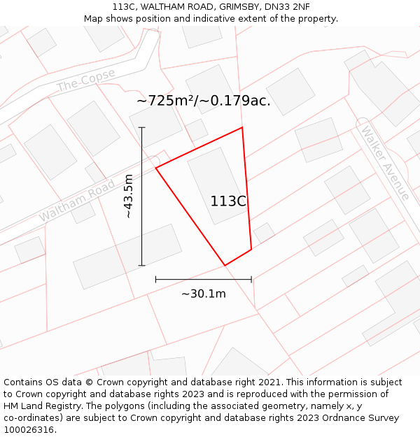 113C, WALTHAM ROAD, GRIMSBY, DN33 2NF: Plot and title map