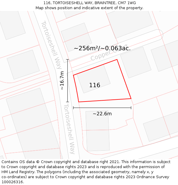 116, TORTOISESHELL WAY, BRAINTREE, CM7 1WG: Plot and title map