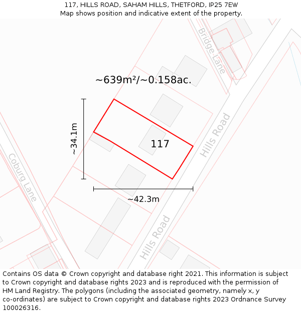117, HILLS ROAD, SAHAM HILLS, THETFORD, IP25 7EW: Plot and title map
