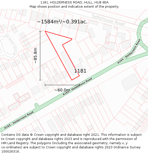 1181, HOLDERNESS ROAD, HULL, HU8 9EA: Plot and title map
